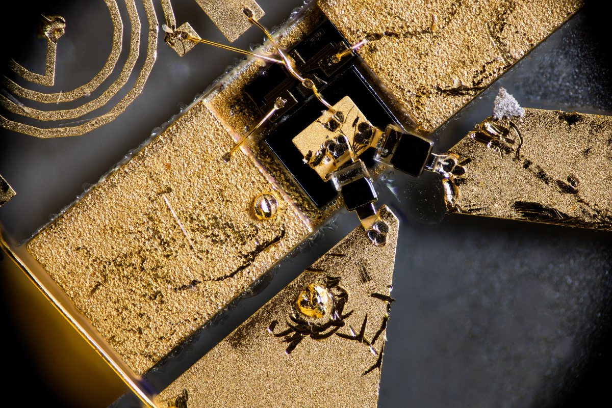 Slide Image
