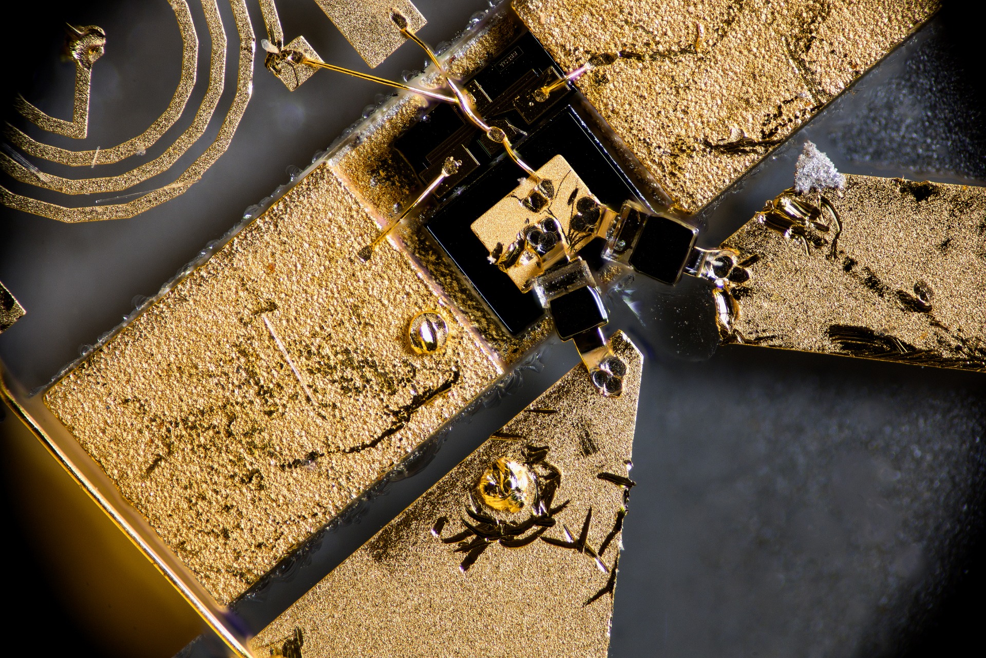 Slide Image